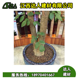 花卉園林陶粒好不好用？